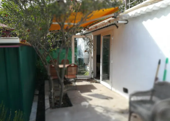 بيت شباب Bett 3 Im Maenner-4-bettzimmer Nur Maenner Only Men Solo Hombres